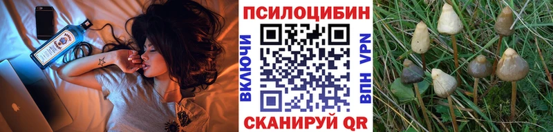 hydra ONION  Курганинск  Галлюциногенные грибы GOLDEN TEACHER 