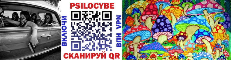 Псилоцибиновые грибы прущие грибы Курганинск