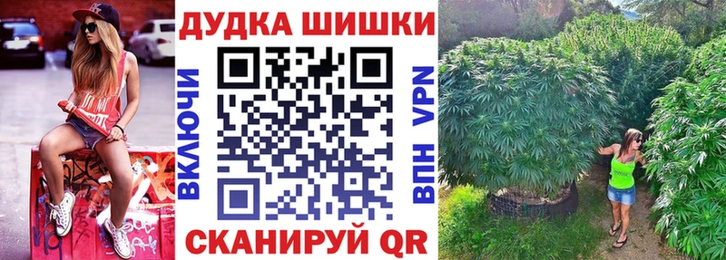 Бошки марихуана конопля  МЕГА зеркало  Курганинск 